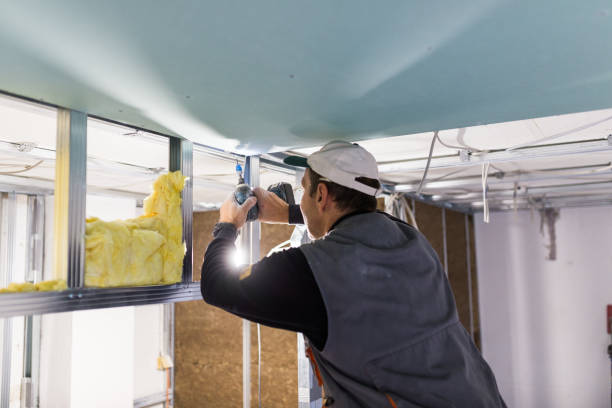 Best Residential Insulation in Palmyra, WI
