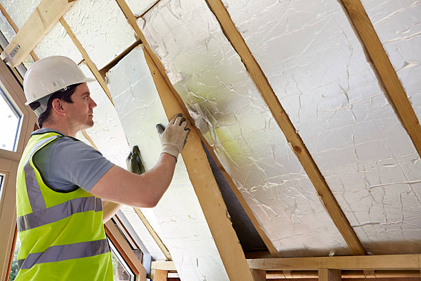 Best Energy Efficiency Solutions in Palmyra, WI